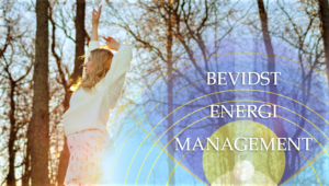 Energi Management