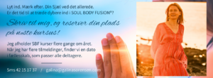 Soul Body Fusion Certificeret kursus